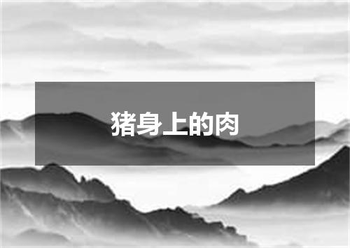 猪身上的肉