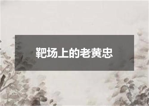 靶场上的老黄忠