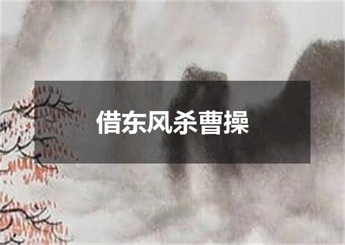 借东风杀曹操