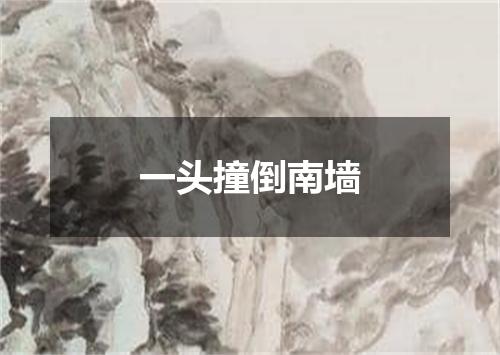 一头撞倒南墙