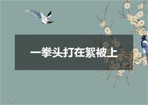 一拳头打在絮被上