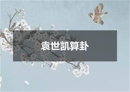 袁世凯算卦