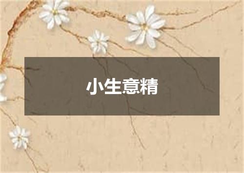 小生意精