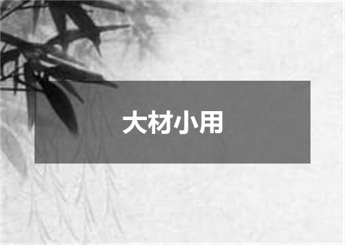 大材小用