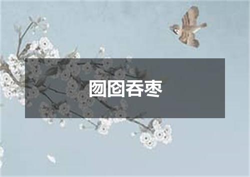 囫囵吞枣