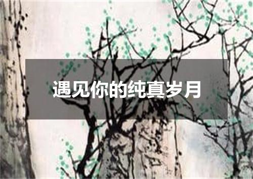 遇见你的纯真岁月