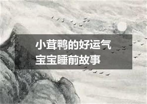 小茸鸭的好运气宝宝睡前故事